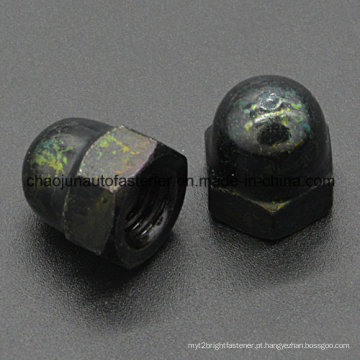 Aço de carbono Hex Nylon Ferro Cap Nut (CZ091)